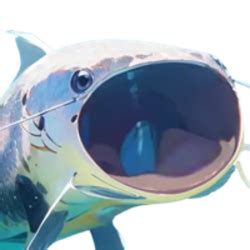 Popfish .